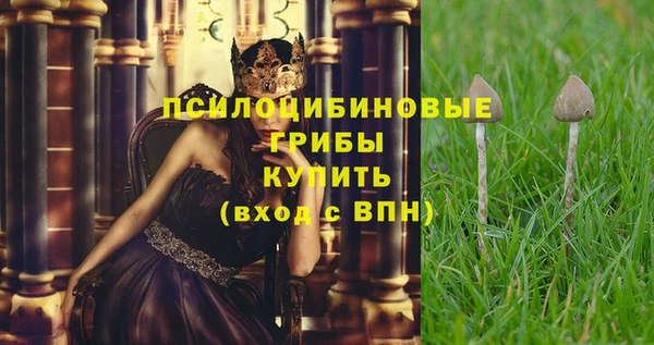 амфетамин Зеленодольск