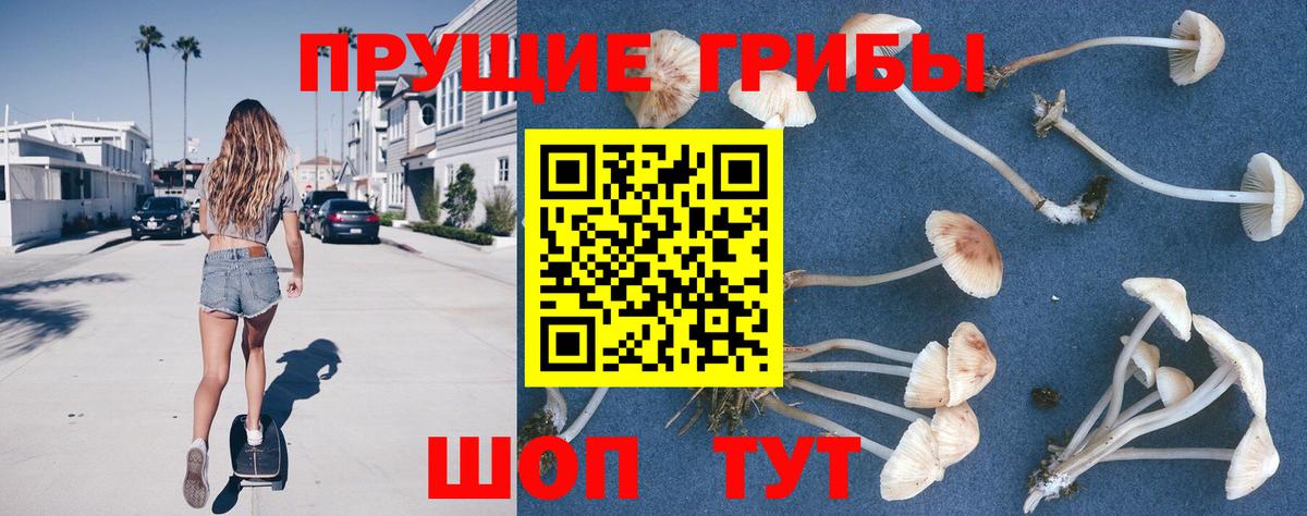 Псилоцибиновые грибы мицелий  Вход с VPN  Истра  Галлюциногенные грибы Magic Shrooms 