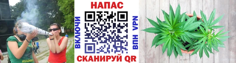 Шишки марихуана планчик  где купить наркоту  Истра 